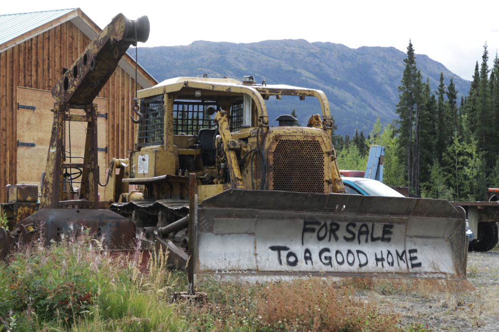 An Atlin Cat lover has a mature one with the usual markings for sale to a good home.