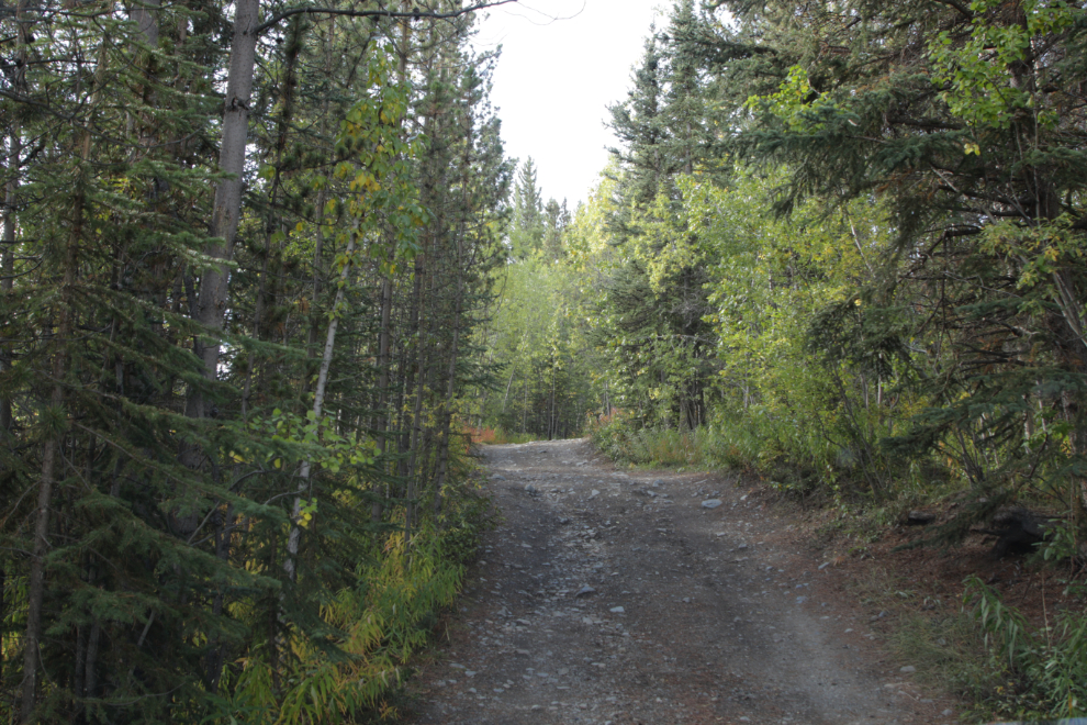 The road up from the Surprise Lake Recreation Site at Atlin, BC.