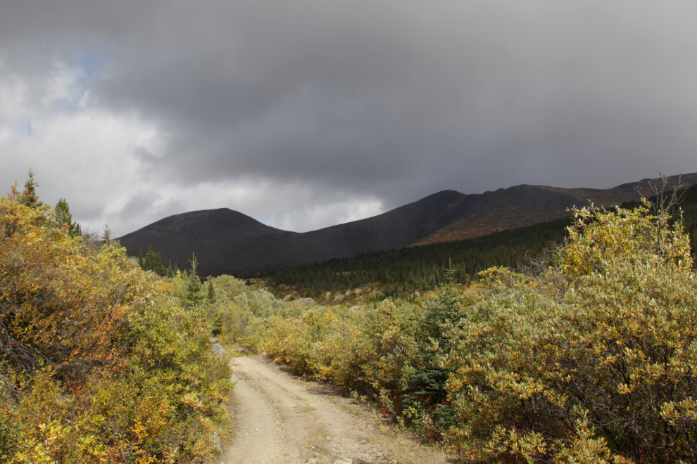 The road to the Boulder Dam Recreation Site, Atlin, BC.