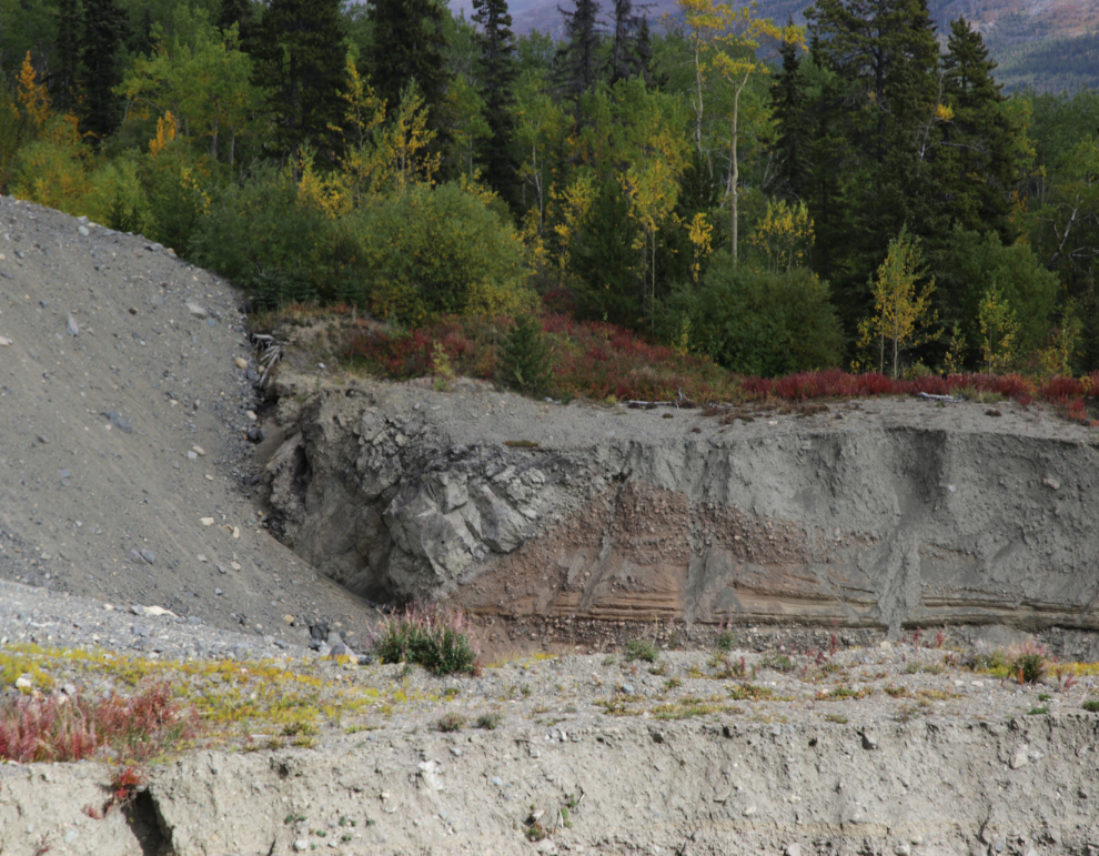 Intriguing layers along a lower section of Ruby Creek at Atlin, BC.