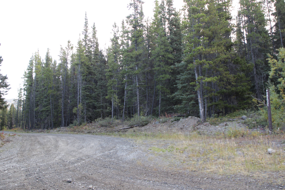 Driving to the Dredge and Flume Recreation Site, Atlin, BC.