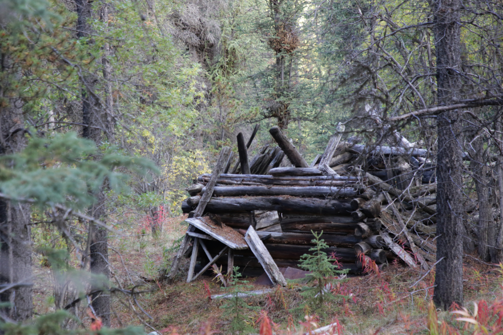 Cabin near the Dredge and Flume Recreation Site, Atlin, BC.