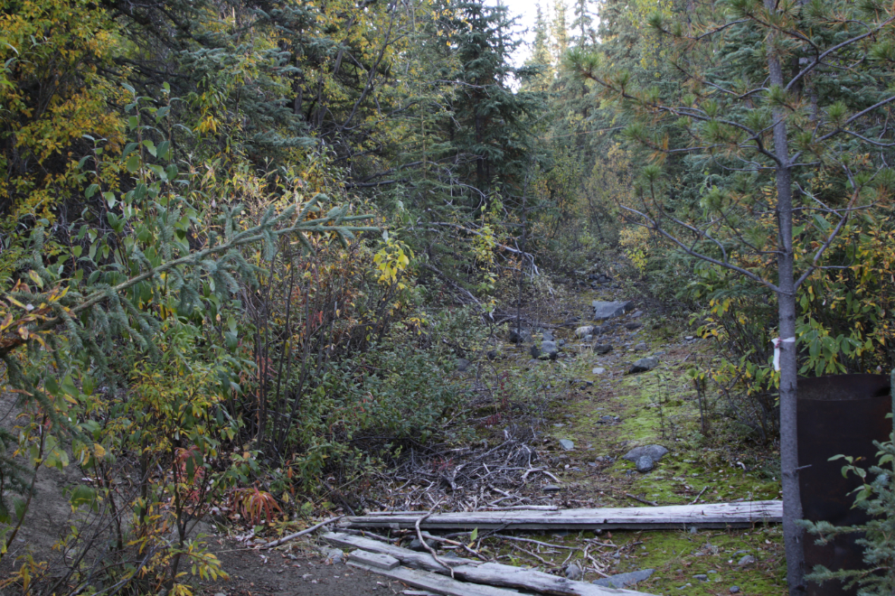 The Dredge and Flume Recreation Site, Atlin, BC.