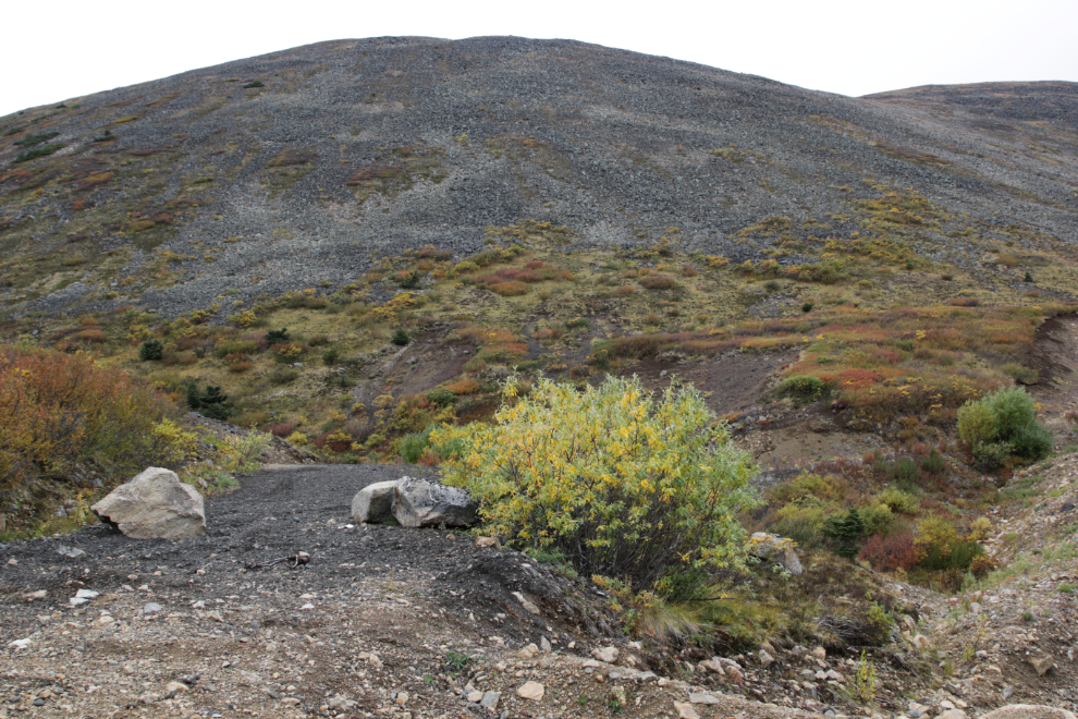 The start of the hiking road/trail up Ruby Mountain, Atlin, BC.