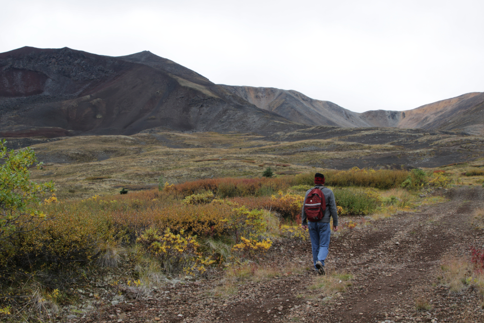 Hiking up Ruby Mountain, Atlin, BC.