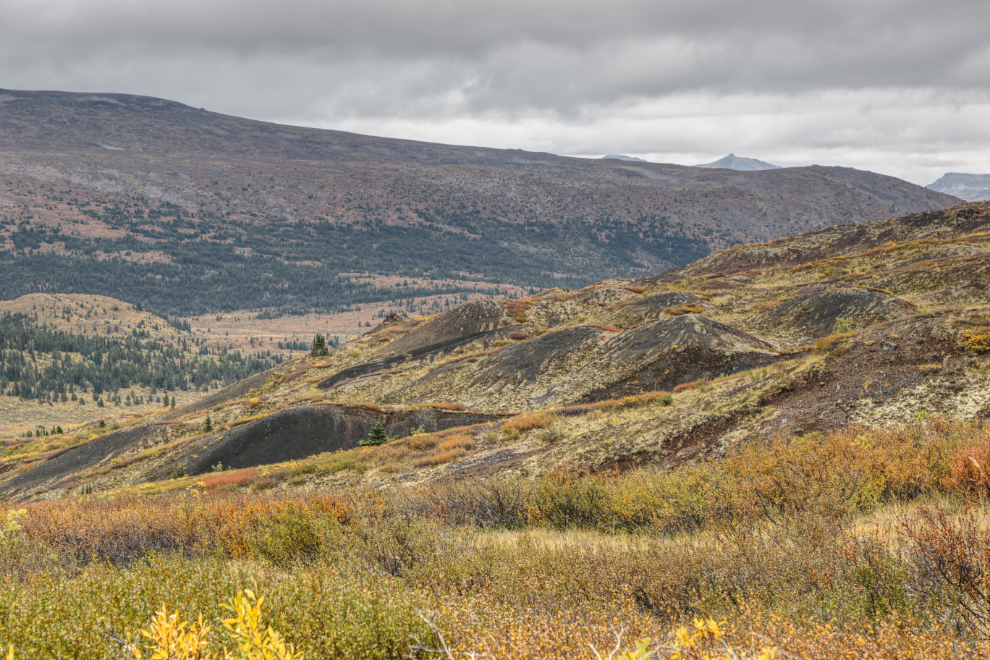 A large field of multi-layered cinder cones at Ruby Mountain, Atlin, BC.