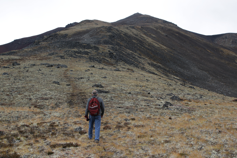 The hiking trail up Ruby Mountain, Atlin, BC.