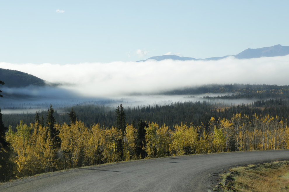 Looking towards foggy Little Atlin Lake, Yukon.