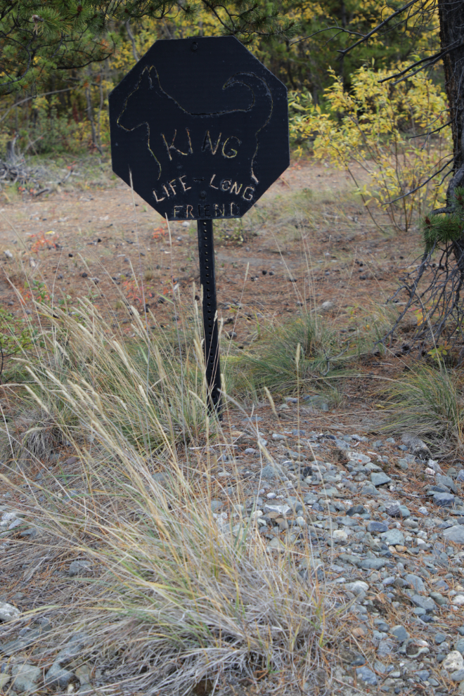 The pet cemetery at Atlin, BC.