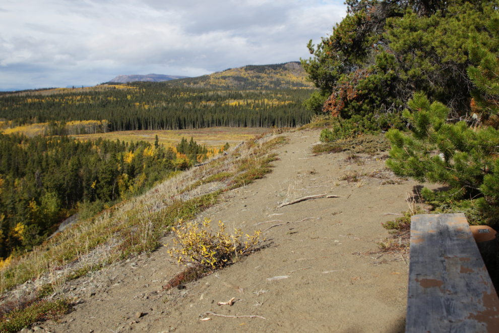 The pet cemetery at Atlin, BC.