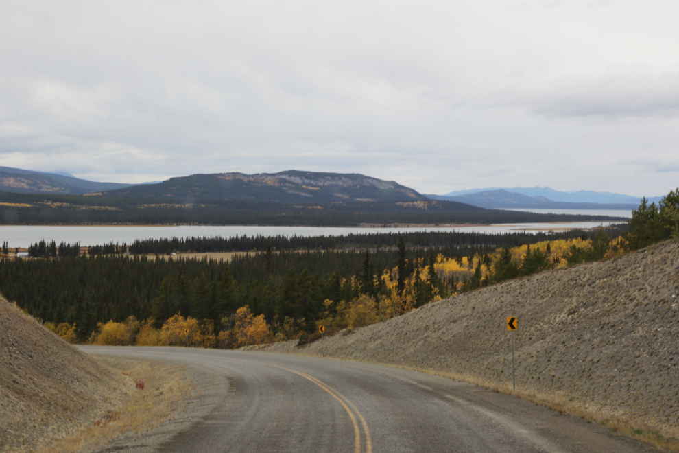 Driving north along the Atlin Road.