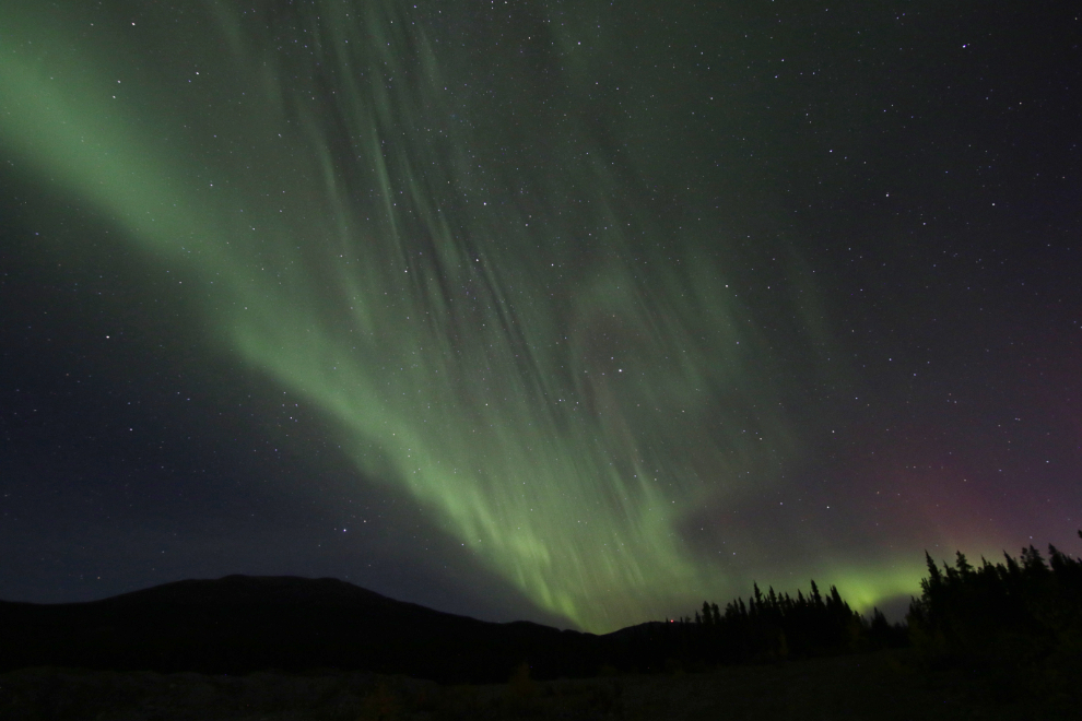 The Northern Lights at Whitehorse, Yukon.