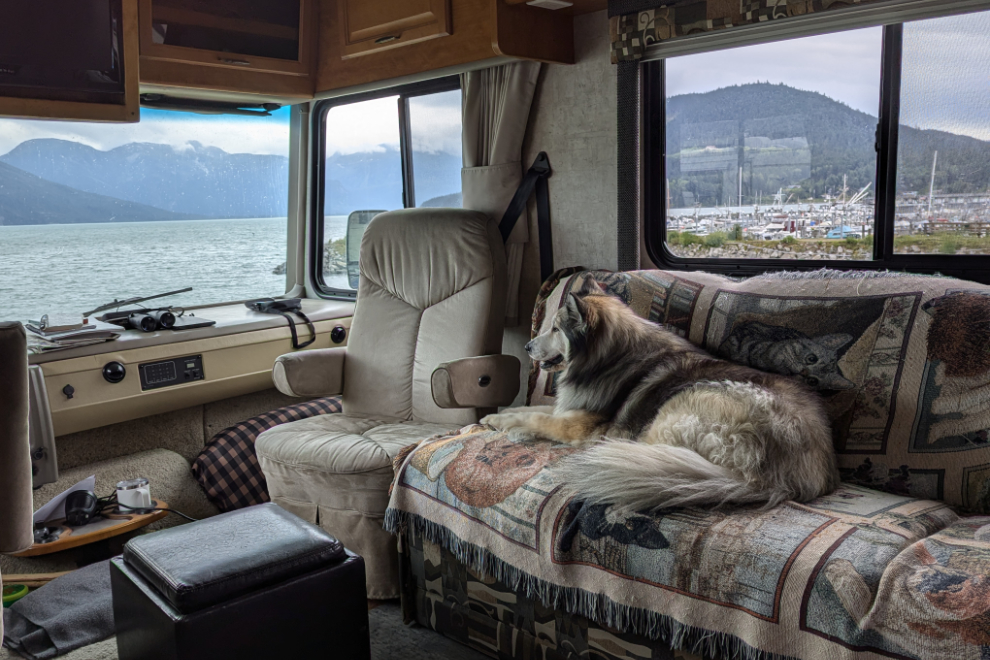 My dog Bella in the motorhome at Haines, Alaska.