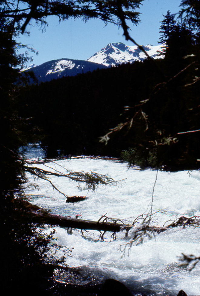 Paddling BC's Bowron Lakes circuit in 1968