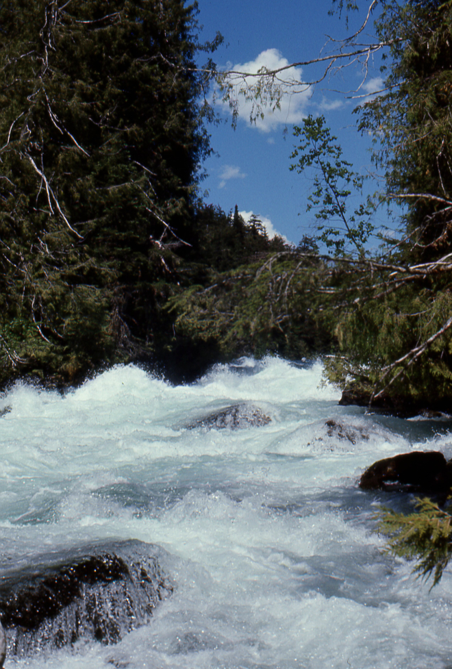 Paddling BC's Bowron Lakes circuit in 1968