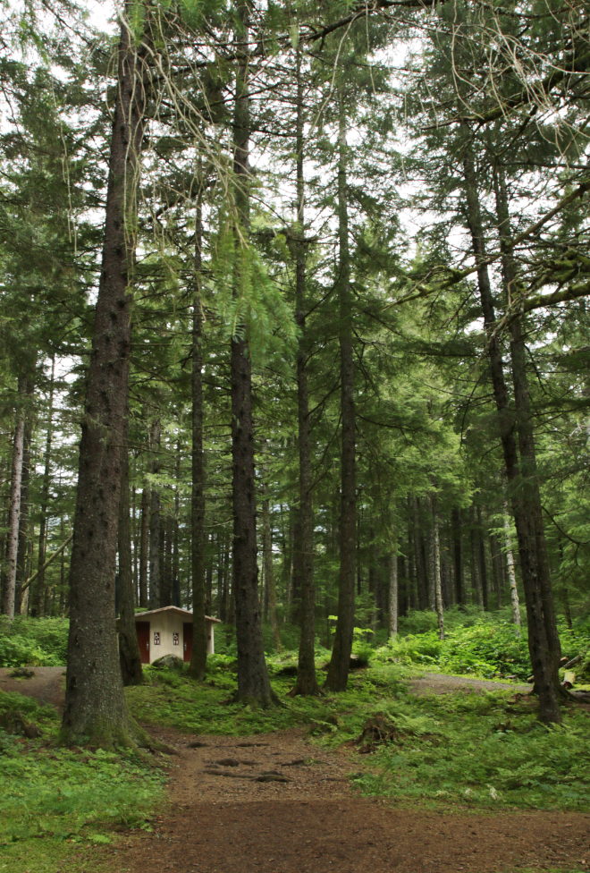 Chilkoot Lake State Park campground at Haines, Alaska. 