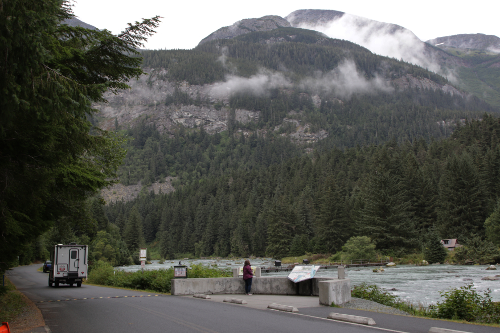 Chilkoot River salmon weir at Haines, Alaska. 