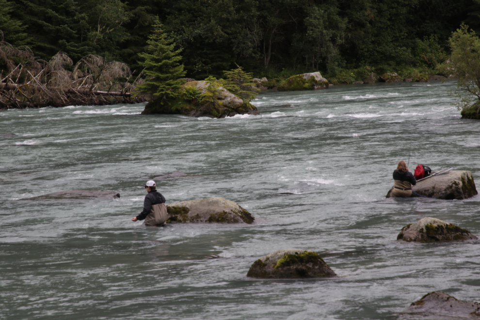 Fisherpeople in the Chilkoot River at Haines, Alaska. 