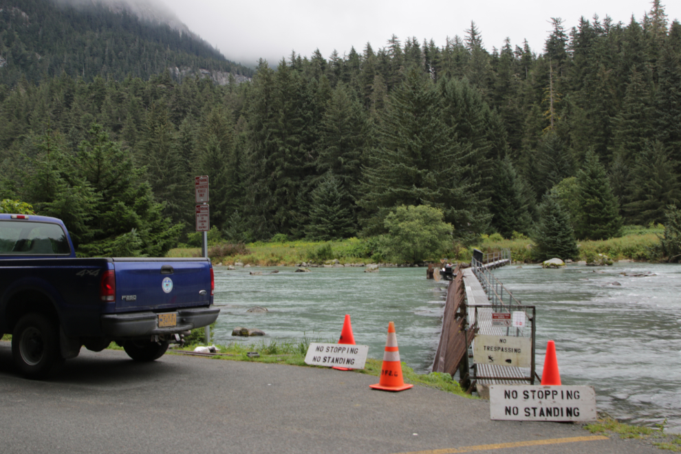 Chilkoot River salmon weir at Haines, Alaska. 