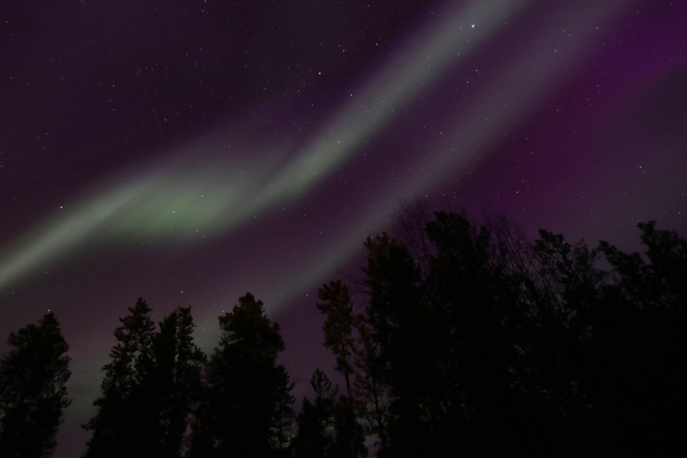 The Northern Lights at Whitehorse, Yukon.