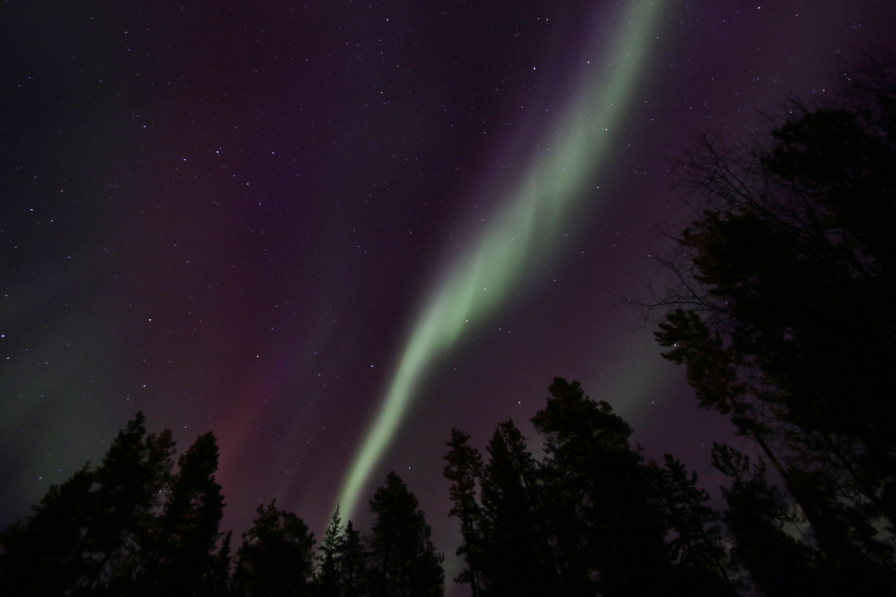 The Northern Lights at Whitehorse, Yukon.