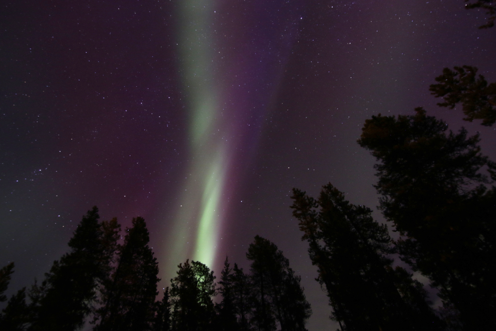 The Northern Lights at Whitehorse, Yukon.