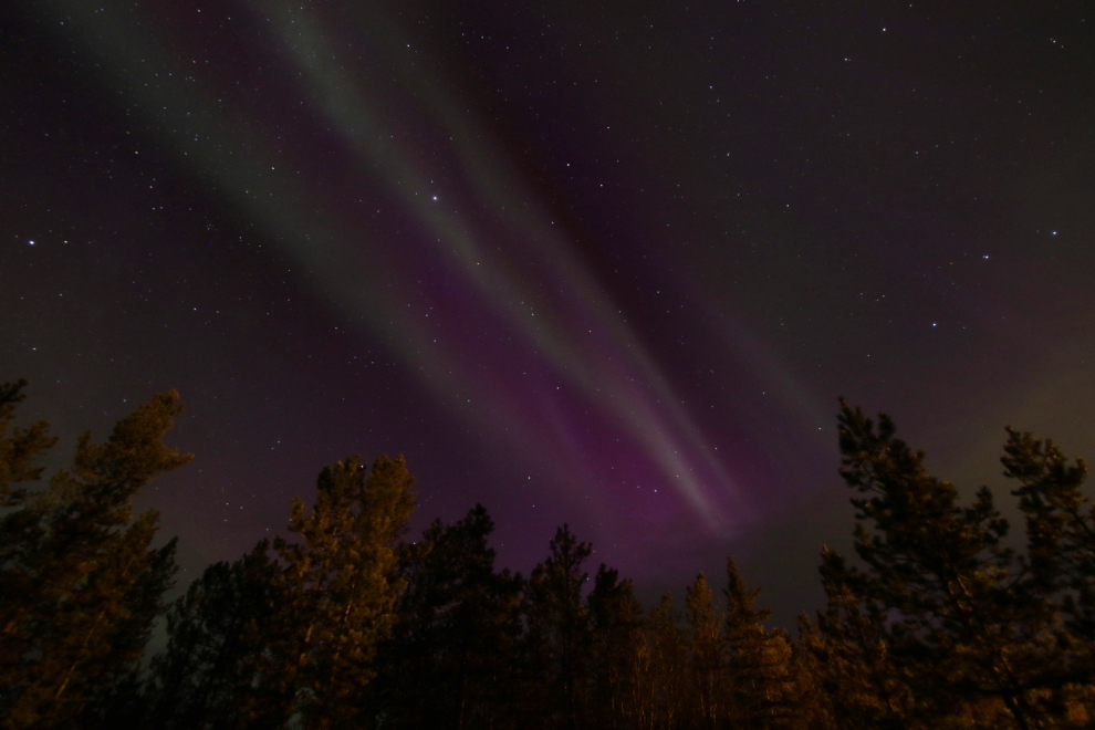 The Northern Lights at Whitehorse, Yukon.