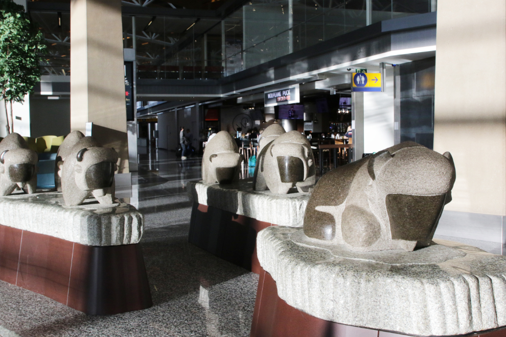 Granite sculptures of a herd of bison at Calgary airport (YYC).