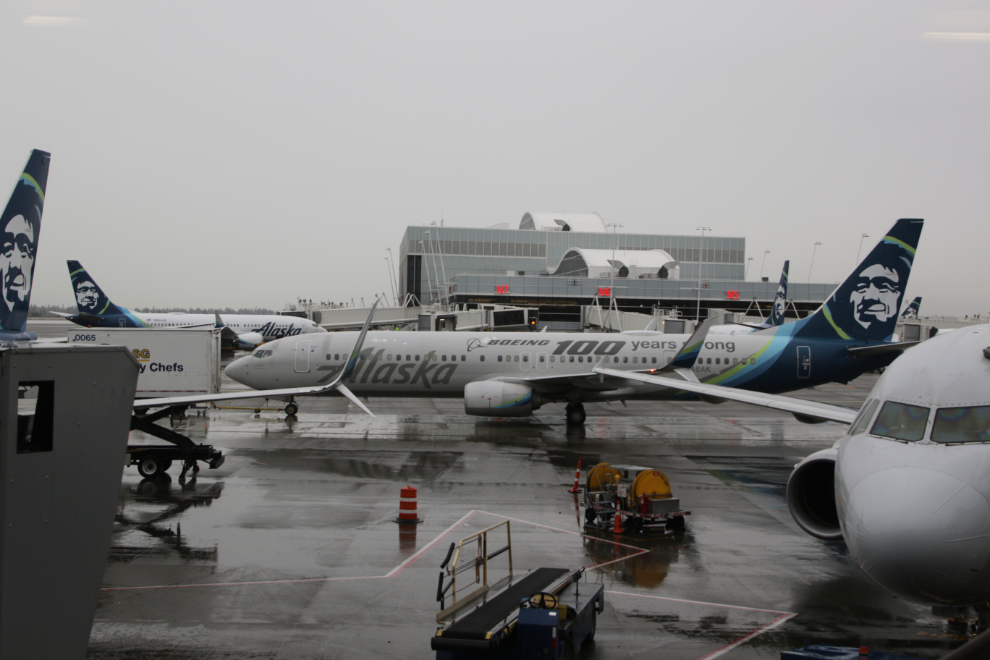 Aircraft at rainy Sea-Tac airport.