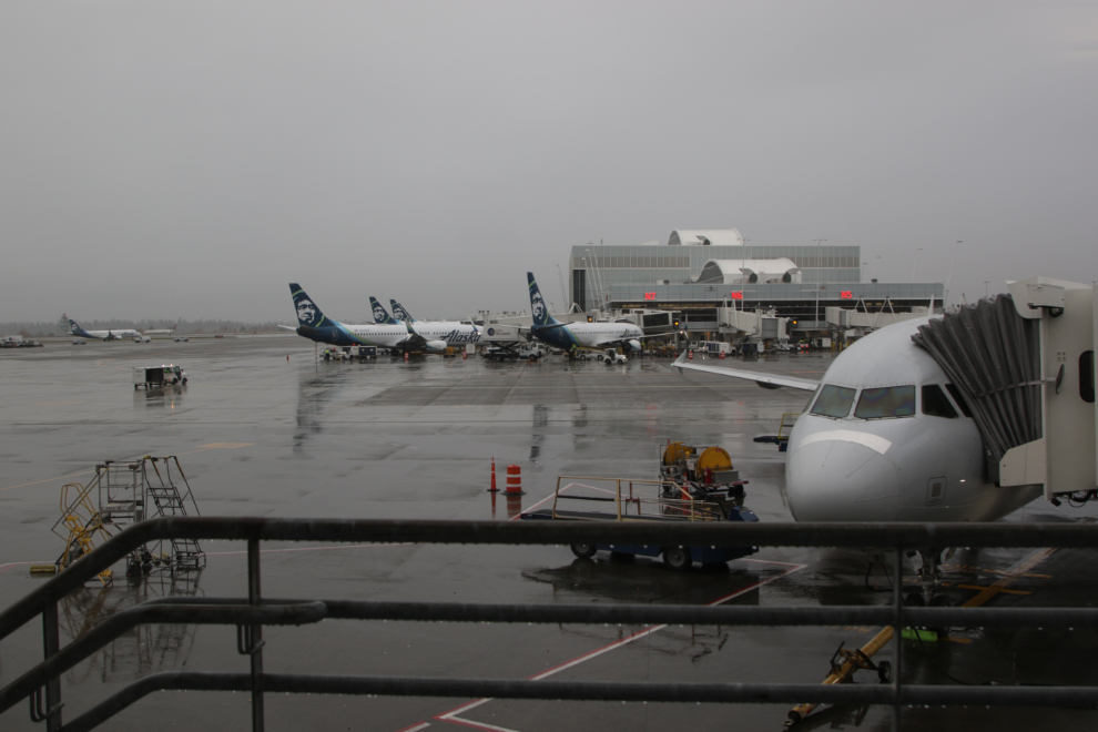 Aircraft at rainy Sea-Tac airport.