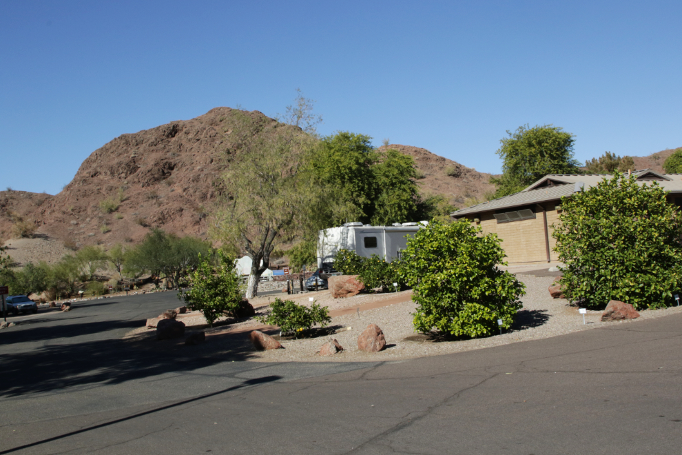 The campground at Cattail Cove State Park, Arizona.