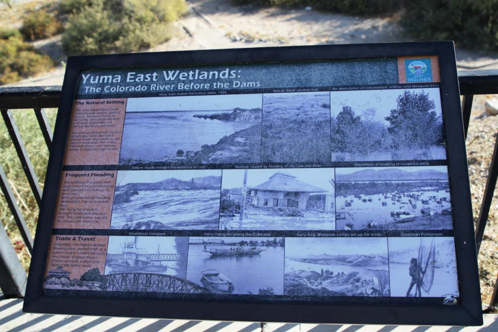 The Yuma East Wetlands and Colorado River, Arizona.