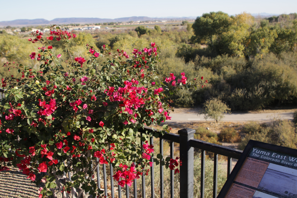 The Yuma East Wetlands and Colorado River, Arizona.