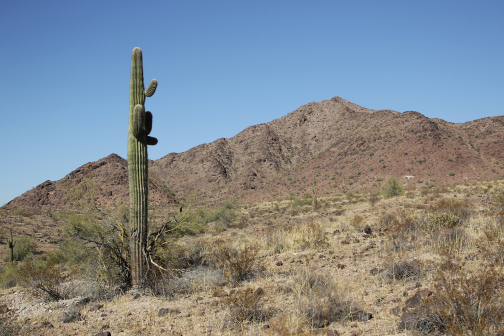 A view along Painted Rock Dam Road, Arizona.