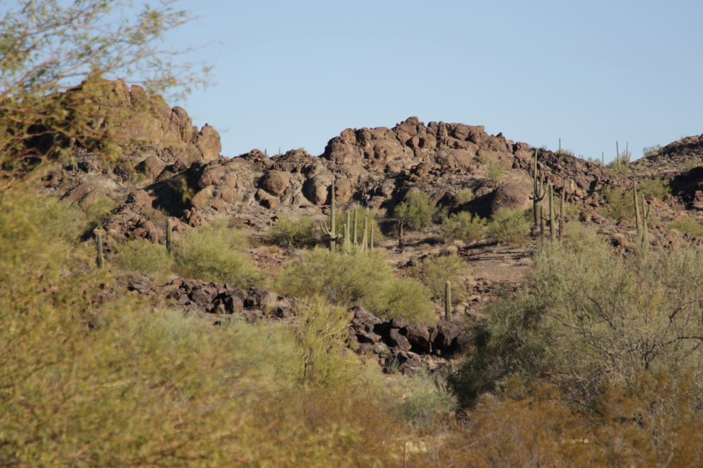 A view along Arizona Highway 85.