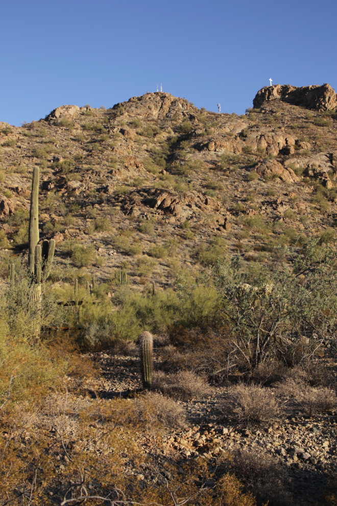 Along the scenic loop road at Ajo, Arizona.