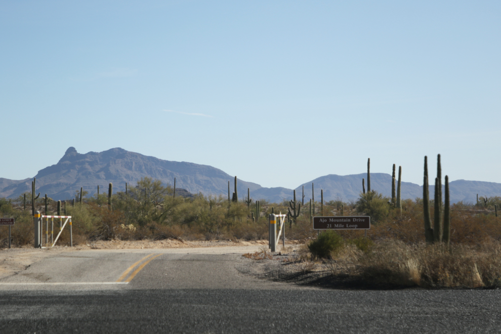 Ajo Mountain Drive loop, Organ Pipe Cactus National Monument, Arizona.