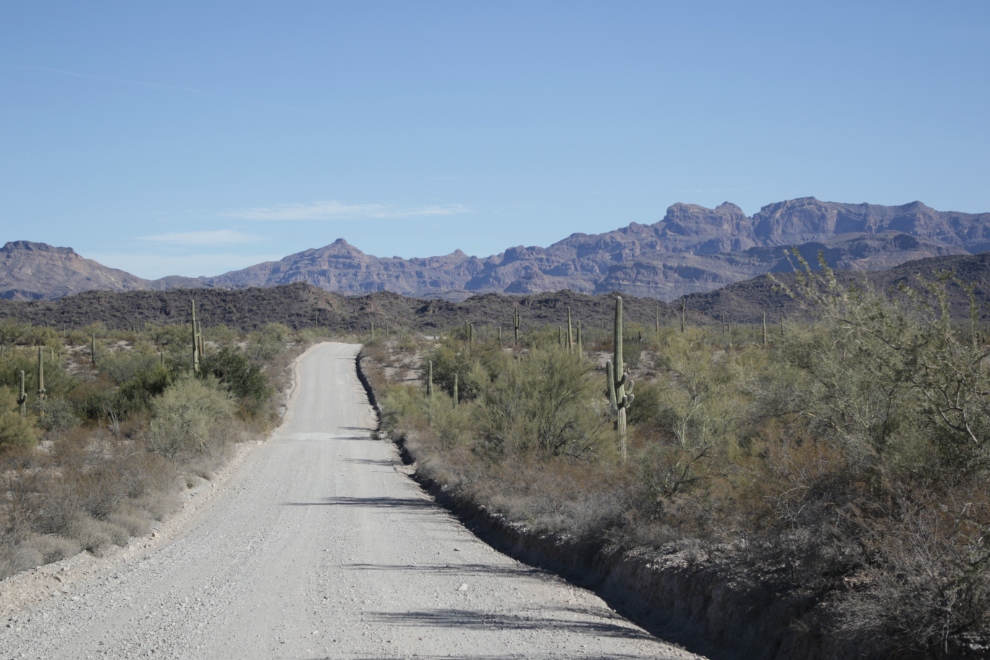 Ajo Mountain Drive loop, Organ Pipe Cactus National Monument, Arizona.