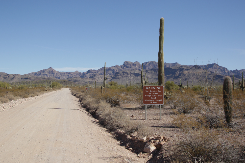 Ajo Mountain Drive loop, Organ Pipe Cactus National Monument, Arizona.