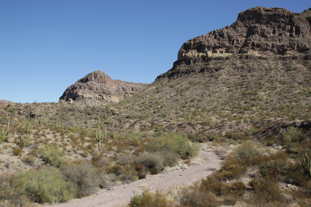 Ajo Mountain Drive loop, Organ Pipe Cactus National Monument, Arizona.