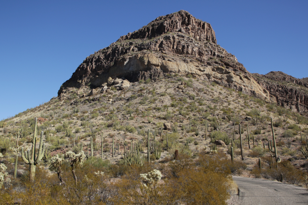 Ajo Mountain Drive loop, Organ Pipe Cactus National Monument, Arizona.