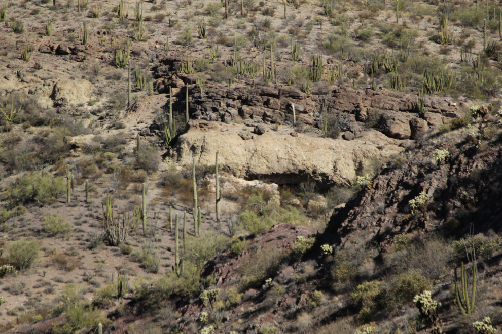 Ajo Mountain Drive loop, Organ Pipe Cactus National Monument, Arizona.