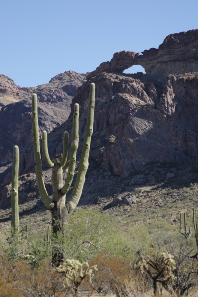 Twin Arches on the Ajo Mountain Drive loop, Organ Pipe Cactus National Monument, Arizona.