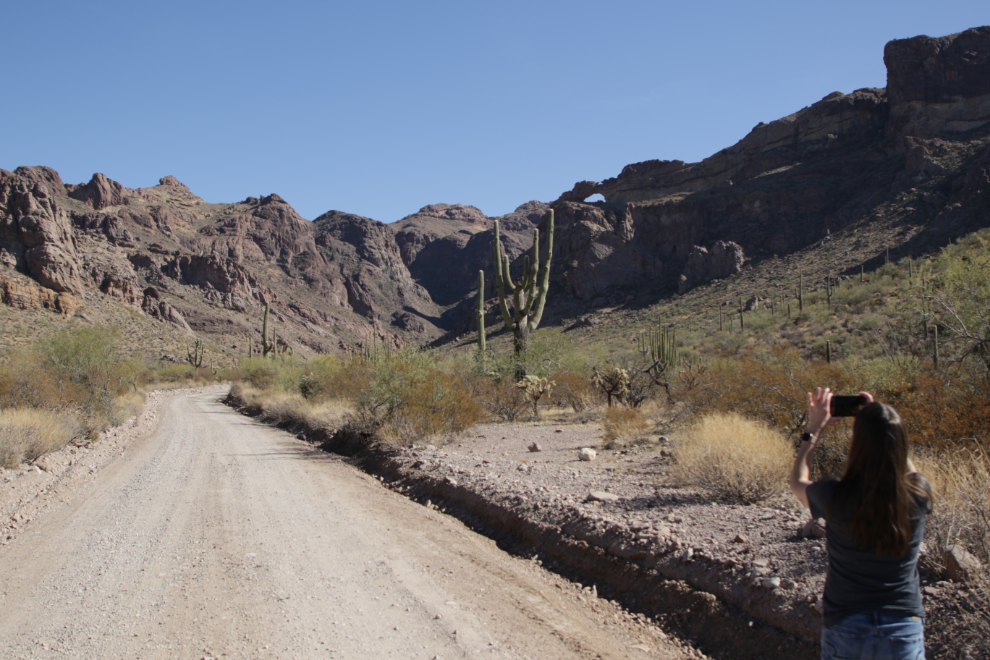 Twin Arches on the Ajo Mountain Drive loop, Organ Pipe Cactus National Monument, Arizona.