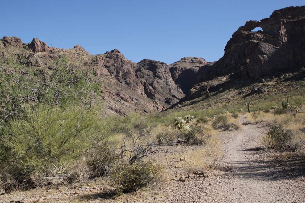 Arch Canyon trail, Organ Pipe Cactus National Monument, Arizona.