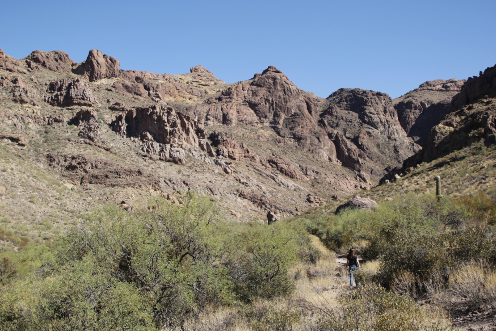 Arch Canyon trail, Organ Pipe Cactus National Monument, Arizona.