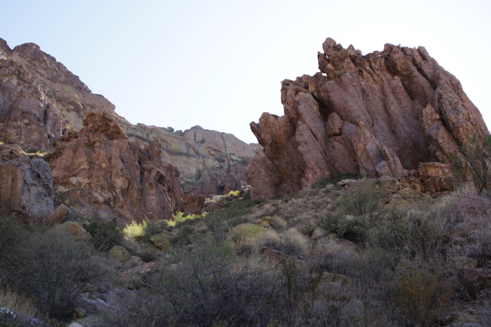 Arch Canyon trail, Organ Pipe Cactus National Monument, Arizona.