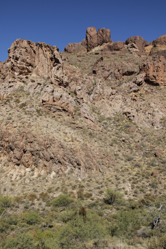 Arch Canyon trail, Organ Pipe Cactus National Monument, Arizona.