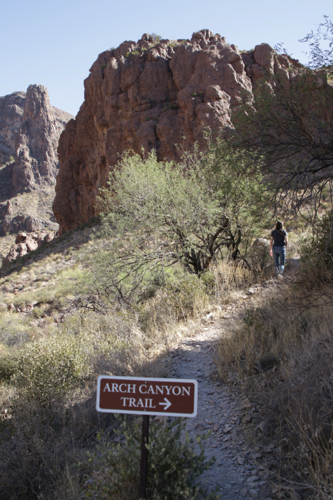 Arch Canyon trail, Organ Pipe Cactus National Monument, Arizona.