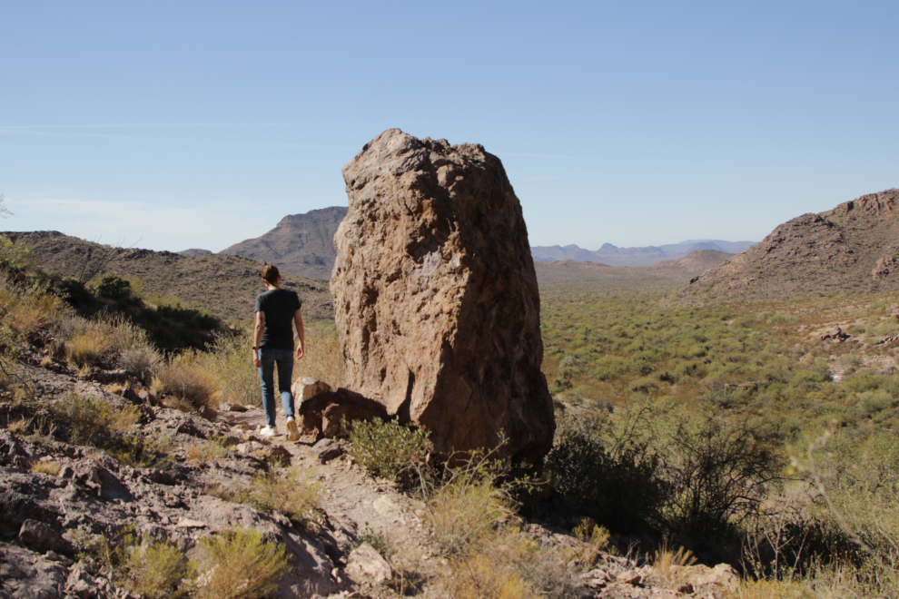 Arch Canyon trail, Organ Pipe Cactus National Monument, Arizona.